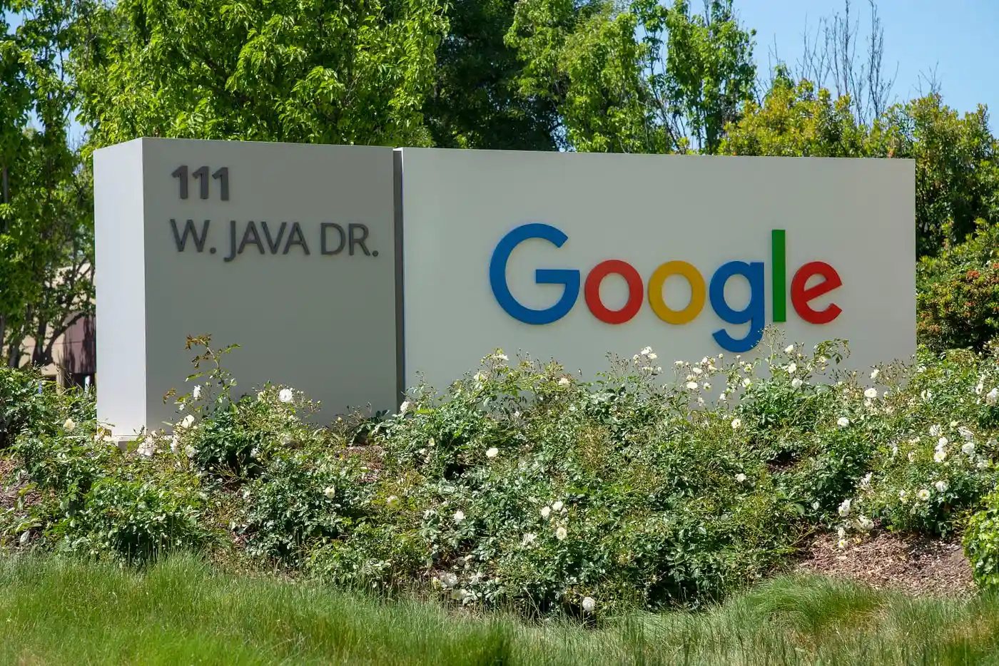 google board in park